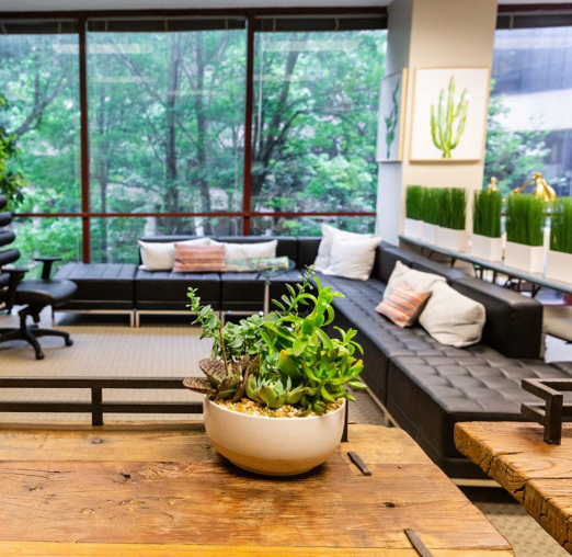 Beautiful Patient waiting area with a bright and big window looking out to trees at Wellife Center.